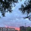 seeleybrooklyn